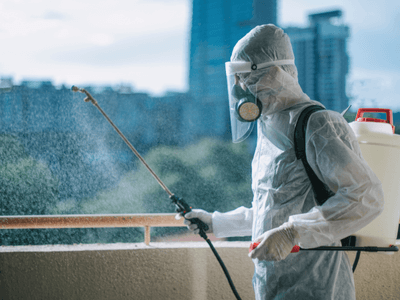 About Rodent Exclusion Ponderosa Heights - rodent exclusion experts in Ponderosa Heights