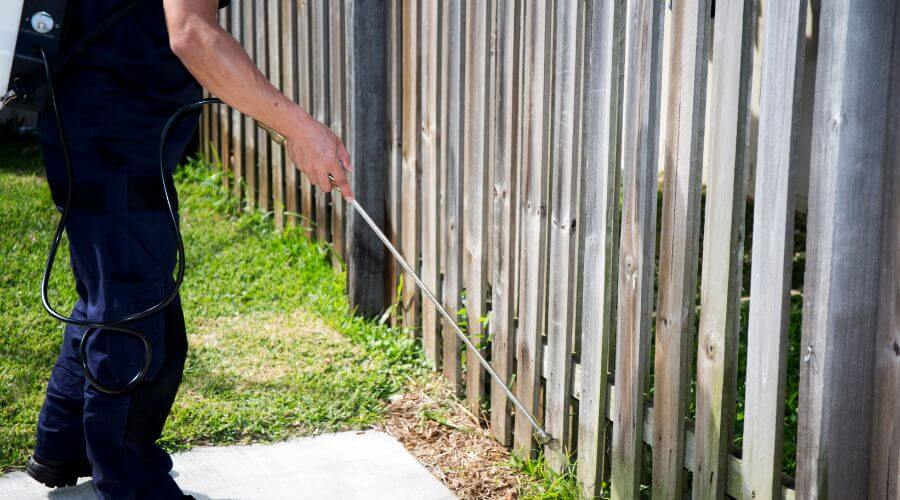Why choose Rodent Exclusion Ponderosa Heights for rodent exclusion in Ponderosa Heights